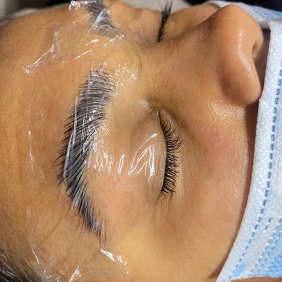 Picture of Eyebrow lamination process