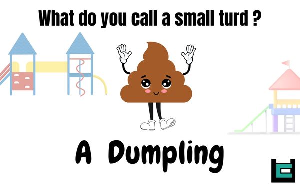 What do you call a small turd?
A: A Dumpling