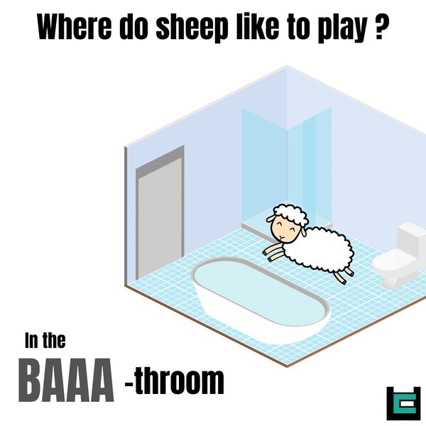 Where do sheep like to play?
A: In the BAAA-throom