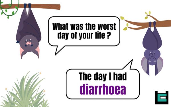 Bat 1: What was the worst day of your life ?
Bat 2: The day I had diarrhoea