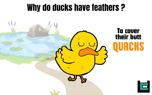 Why do ducks have feathers ?
A: To cover their butt QUACKS