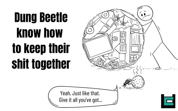 Dung Beetle know how to keep their shit together.