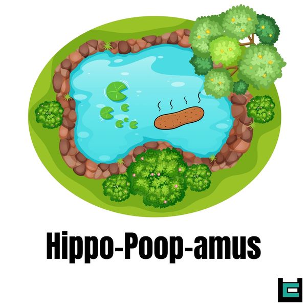 Hippo-poop-amus