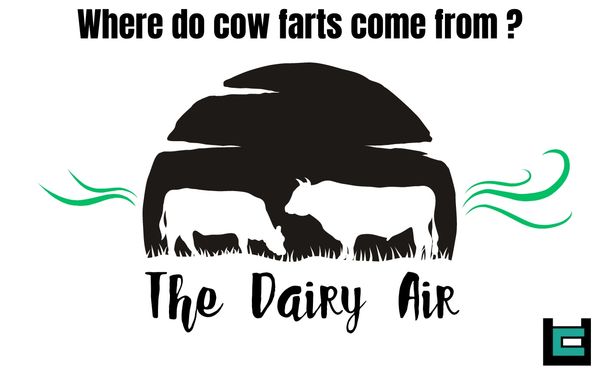 Where do cow farts come from?
A: The Dairy Air