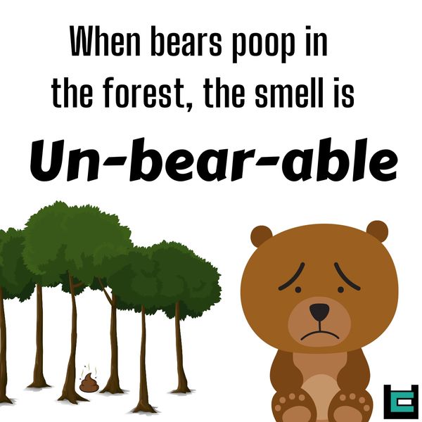 When bears poop in the forest, the smell is Un-bear-able.