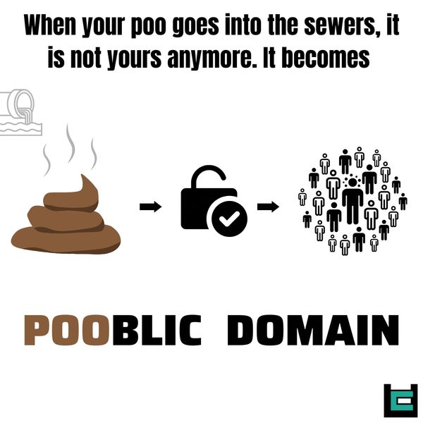 When your poo goes into the sewers, it is not yours anymore. It becomes?
A: Pooblic Domain