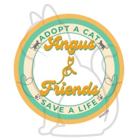 Angus & Friends Cat Rescue
