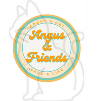 Angus & Friends Cat Rescue