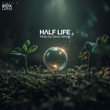 A glowing orb between two small plants on mossy ground with light beams above.