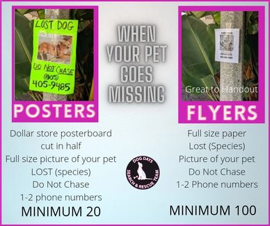 Lost flyers & posters are critical to finding your pet