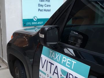 Táxi Pet com toda segurança.