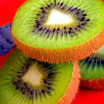 Clients Include:
-Warner Brothers
-Anheuser Busch
-Gaylord Opryland
-Renaissance Hotel
-Kroger
-Taco