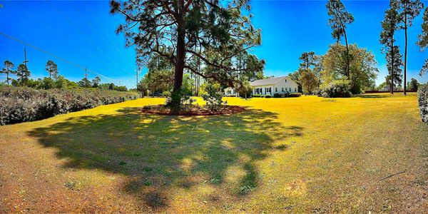 Spacious yard with a house surrounded by tall trees under clear blue sky.