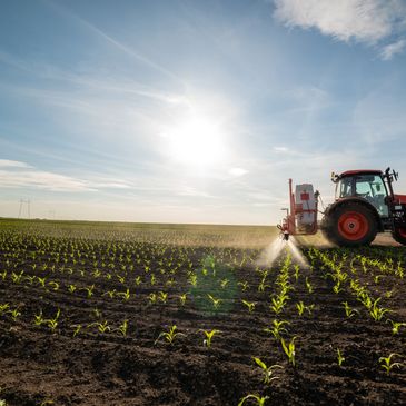 Farm labor jobs, Visa H-2a