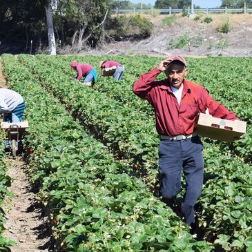 H-2a Visa program for temporary workers