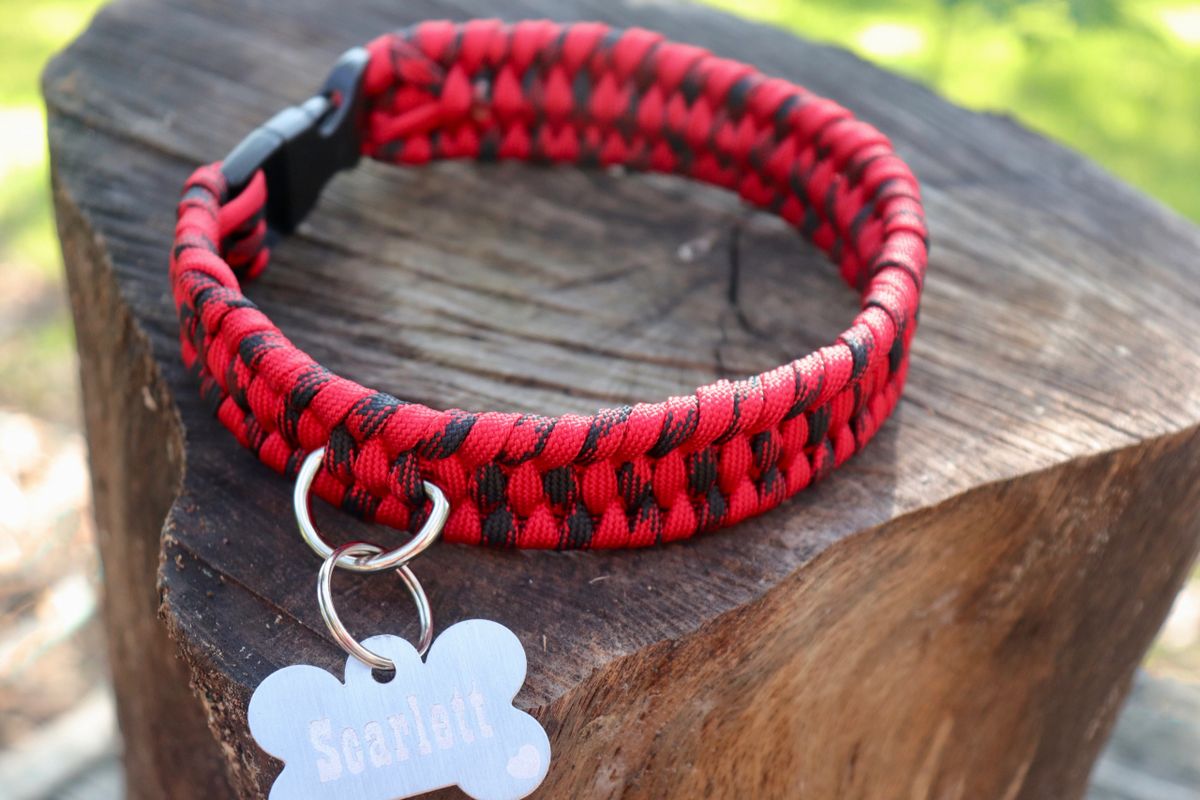 6 Strand 2 Color Trilobite Custom Paracord Dog Collar