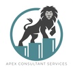 A P E X  Consultant  Services