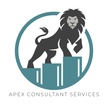 A P E X  Consultant  Services