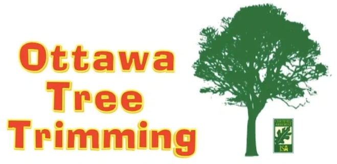 Ottawa Tree Trimming 