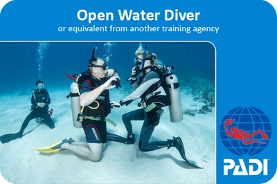 RESSA - Cursos de certificación de Guardavidas y buceo