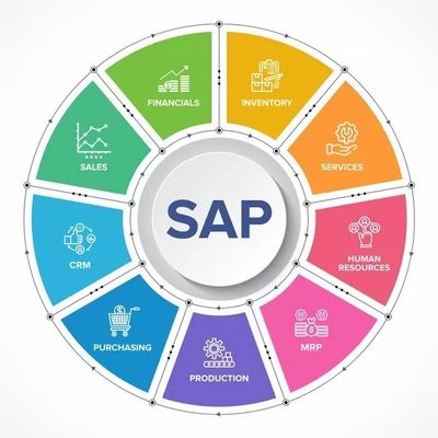 Expert SAP consulting services for business optimization