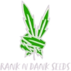 Rank N Dank Seeds 