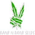 Rank N Dank Seeds 
