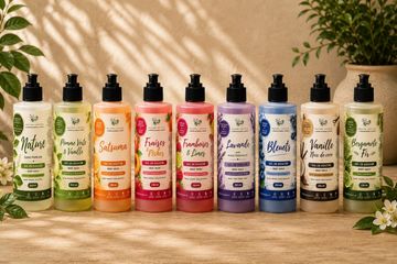 Gamme colorée de shampooings naturels sur une table.