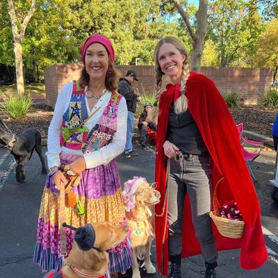 Two people and two dogs