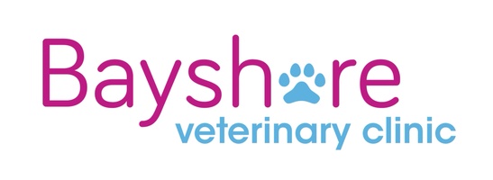 Beyshore veterinary clinic