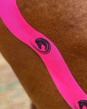 Hind end taping on horse by Nikita Hillier from Crown Equine Solutions using Hestaband.