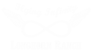 Flying Infinity