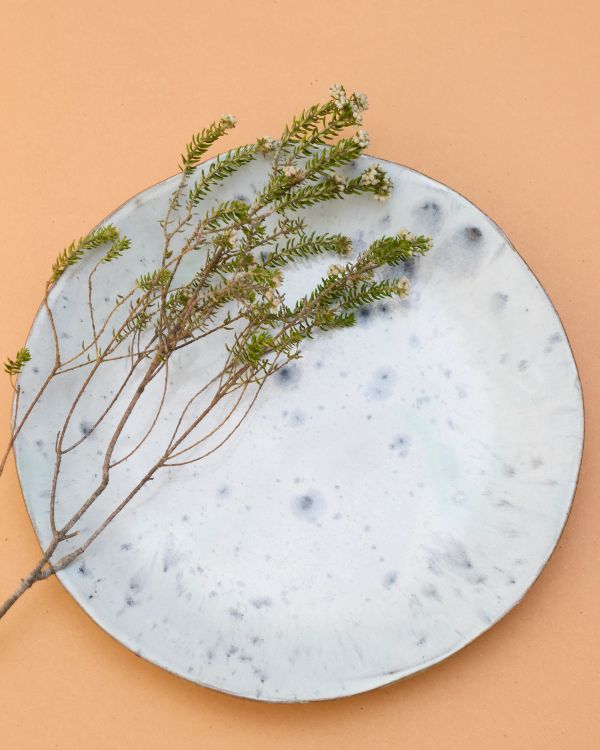 Green plant with small white flowers on a white plate.