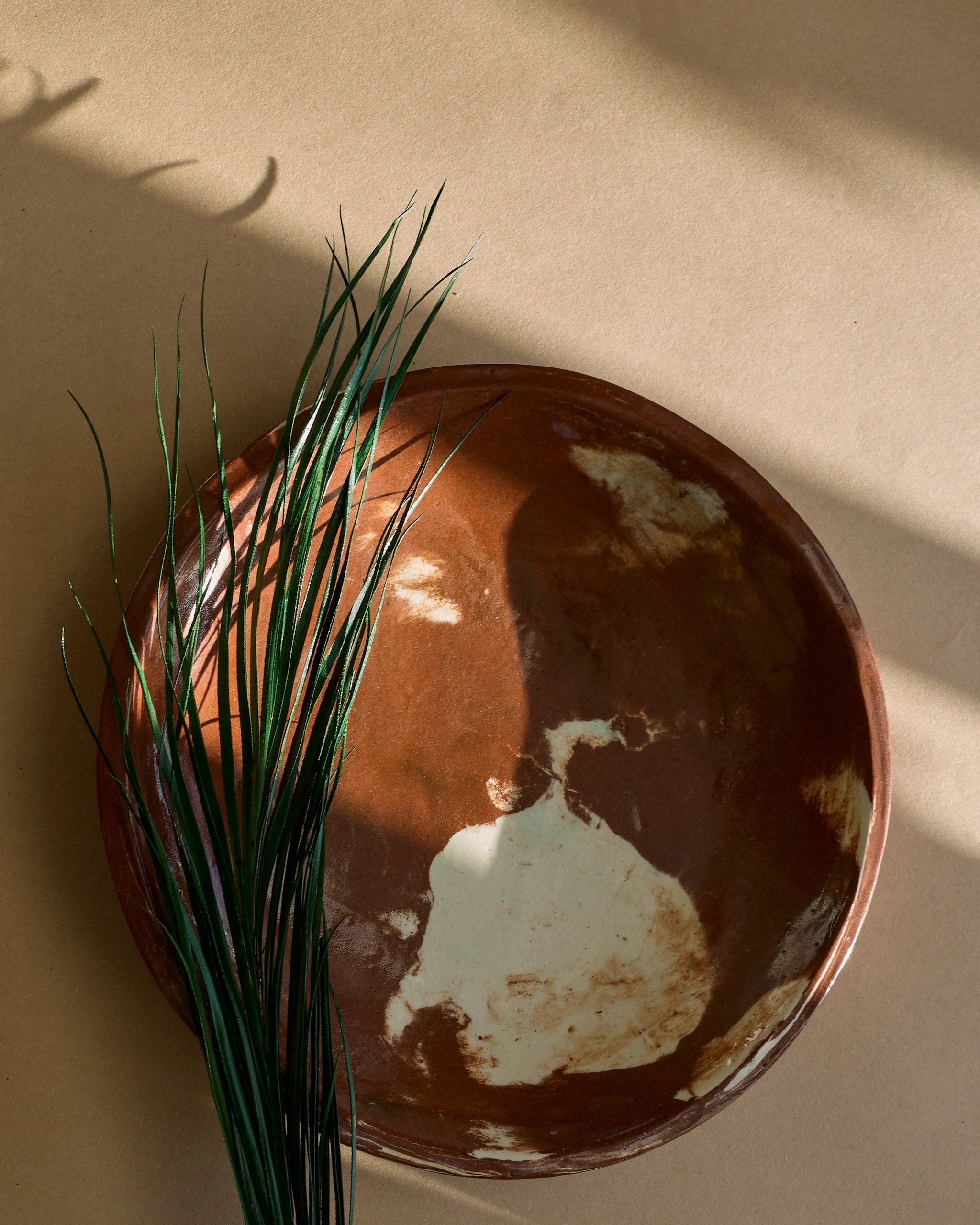 Brown ceramic plate with green plant on beige background.