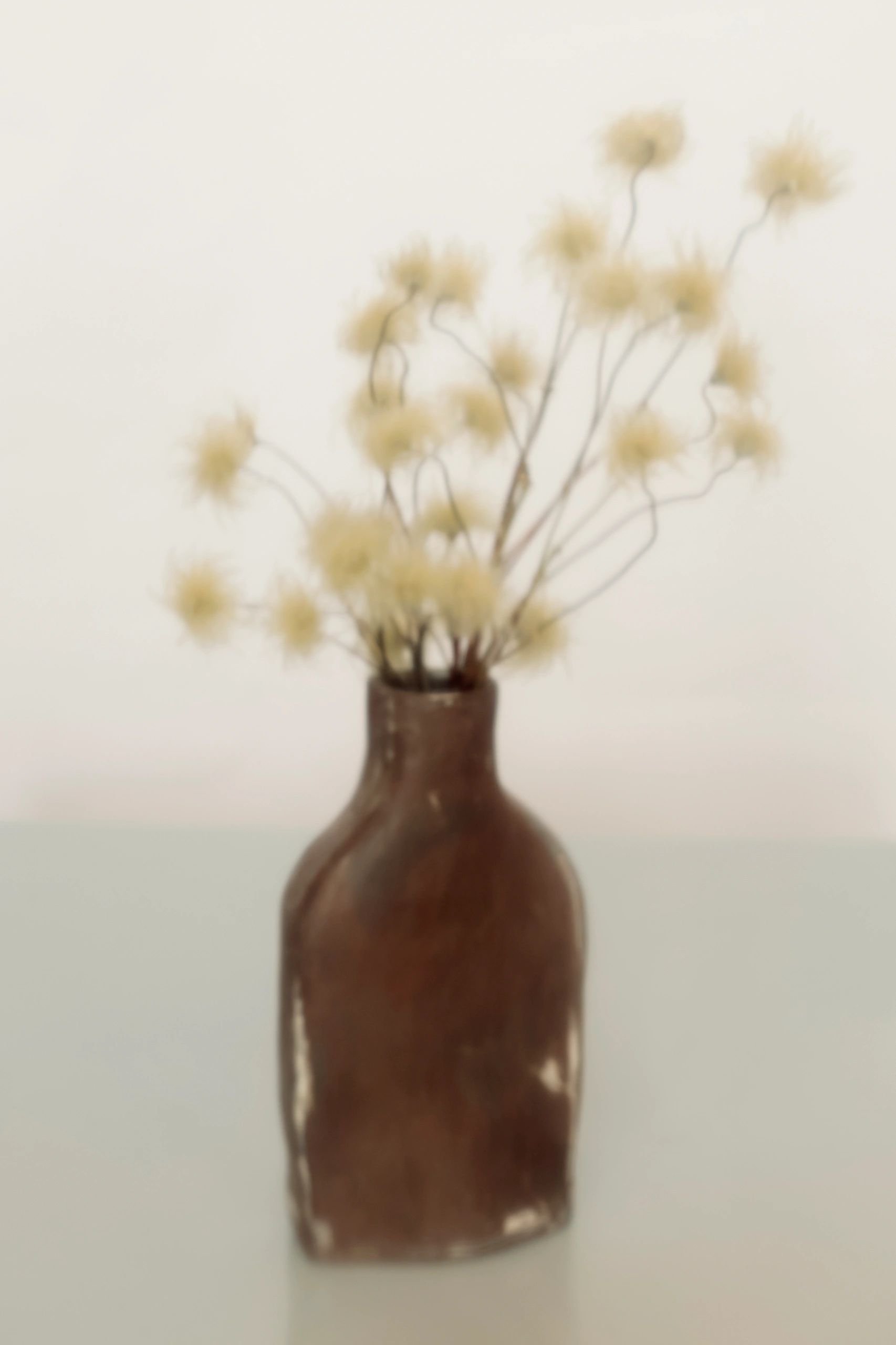 Blurry dried flowers in a brown vase.