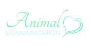 Animal Love