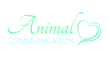 Animal Love