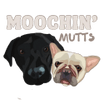 Moochin' Mutts
