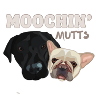 Moochin' Mutts