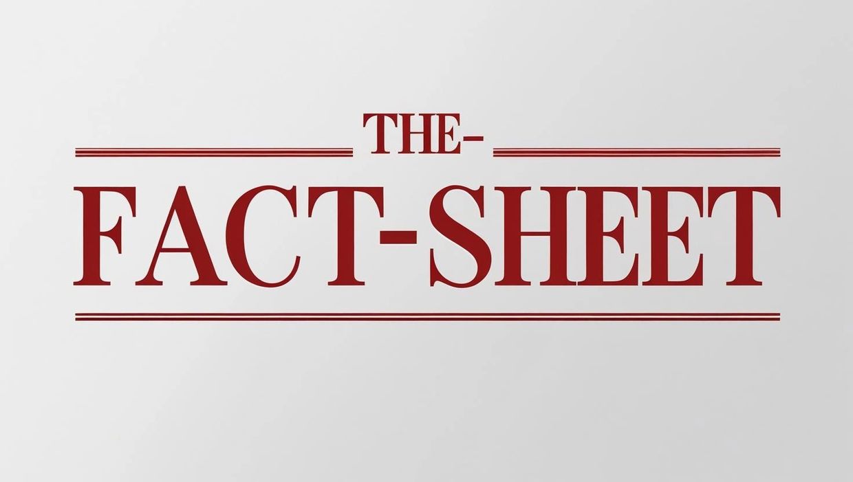 The words 'THE FACT-SHEET' written in bold red letters on a white background.