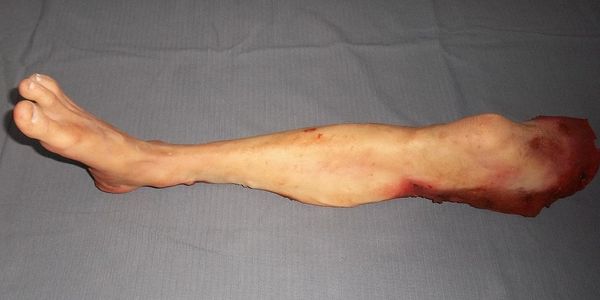 Fake Severed Leg