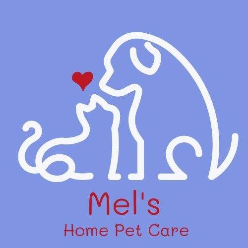 Mel's veterinary sale clinic