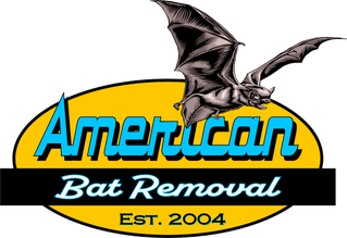 american bat removal
