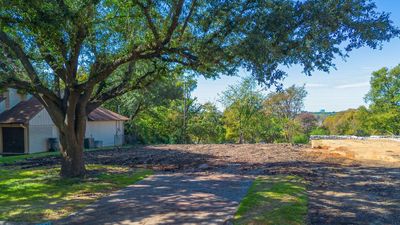 A cleared backyard area with a large tree and a house nearby.