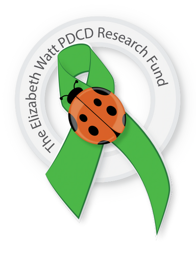 Green awareness ribbon with a ladybug and research fund text.