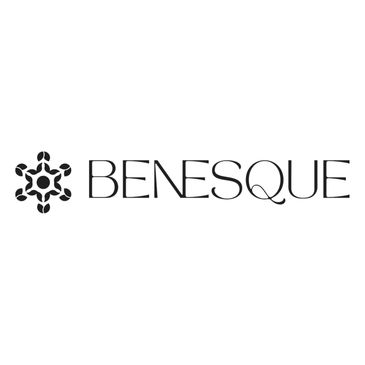 Logo of Benesque with a unique geometric icon.