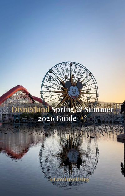 Disneyland tips, park essentials, ride guides, food finds, and elevated Disney moments featured on T