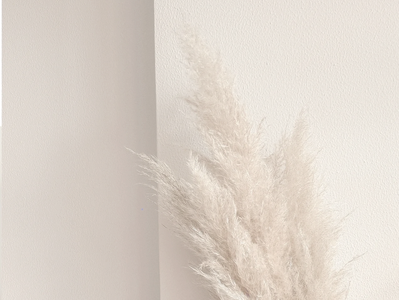 Hand holding soft beige pampas grass against a light wall.