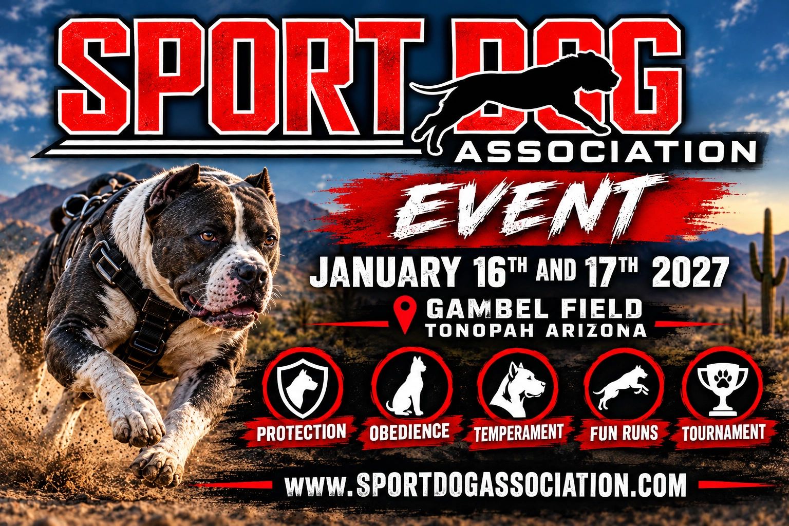 Sport Dog Association event with dog running and key competition categories.