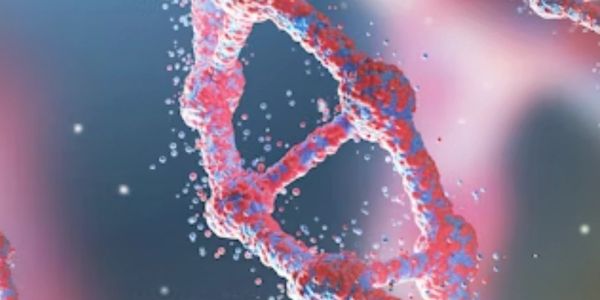 red light therapy light therapy lab solana beach